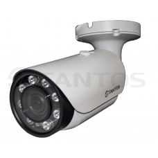 Tantos TSi-Pn235VPZ (2.8-12)  2 Мп камера